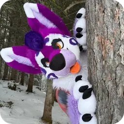 Shasta - Fursona