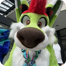 Kaomoro - Fursona