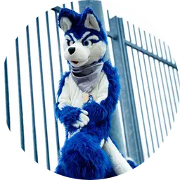 Firespury - Fursuit